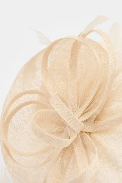 Coast Bibi Disque Relevé Avec Boucles Et Plumes< Chapeaux