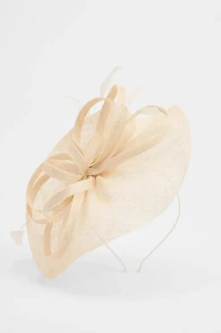 Coast Bibi Disque Relevé Avec Boucles Et Plumes< Chapeaux