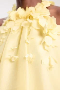 Blouse Tissée À Col Licou Avec Appliqué Floral