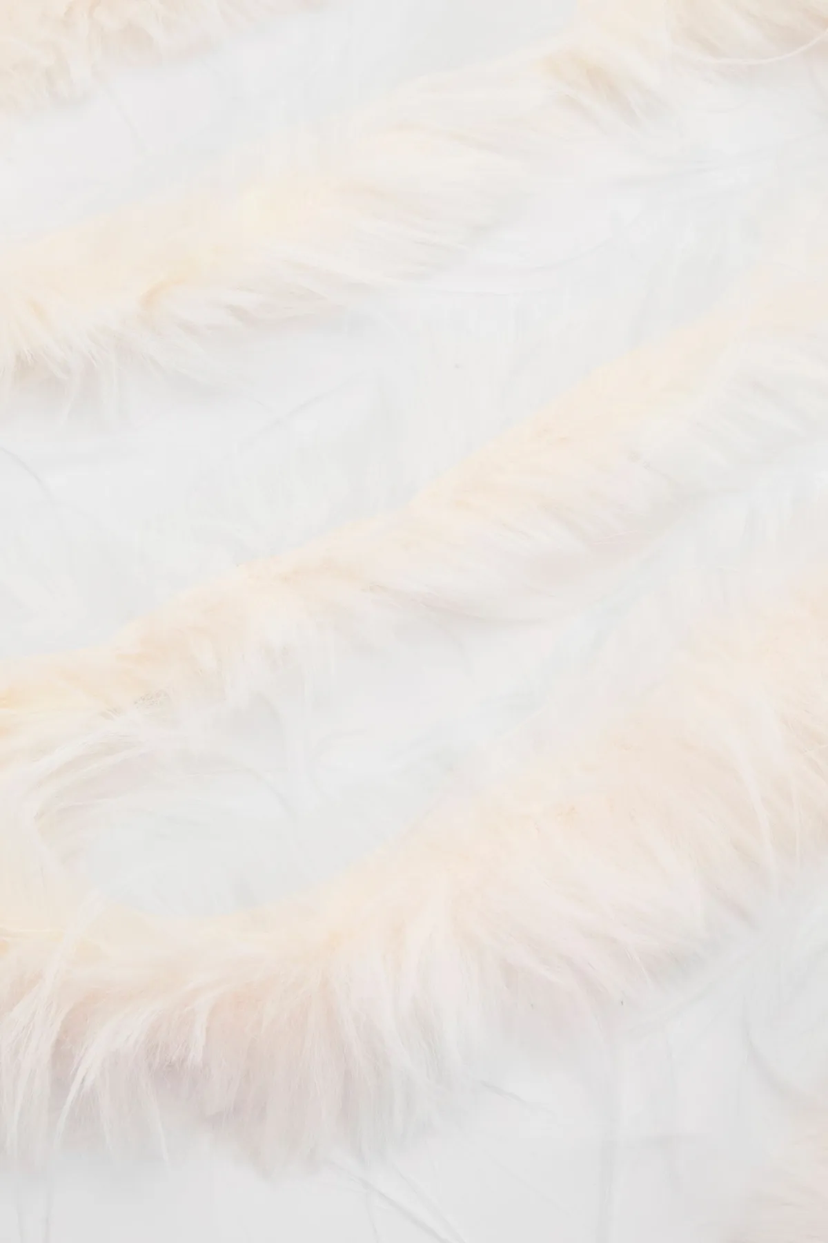 boohoo Boa En Fausses Plumes< Écharpes|Écharpes Et Gants