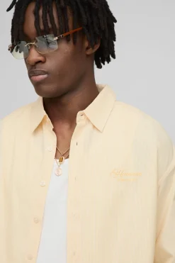 Chemise oversize boxy à manches longues, à rayures et brodée