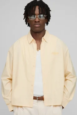 Chemise oversize boxy à manches longues, à rayures et brodée