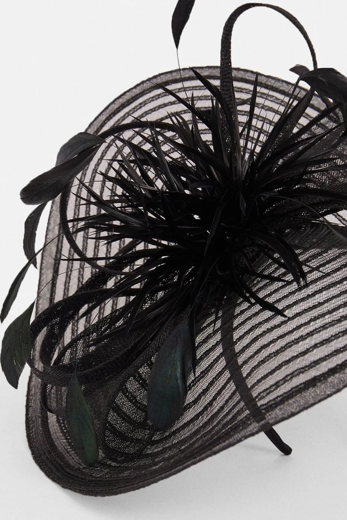 Fascinator à détails de plumes
