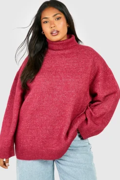 Grande taille - Pull à col roulé