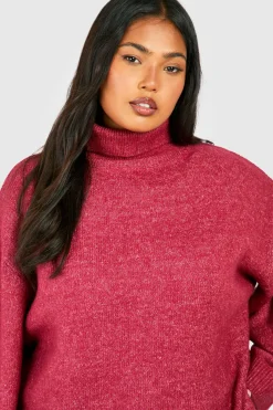 Grande taille - Pull à col roulé