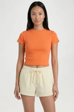 boohoo Haut Court Ajusté À Manches Courtes En Maille Côtelée<Femme Basiques|Tops