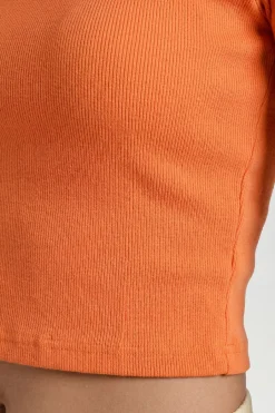 boohoo Haut Court Ajusté À Manches Courtes En Maille Côtelée<Femme Basiques|Tops