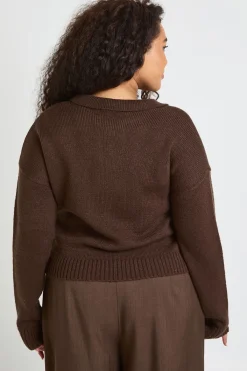 boohoo Haut en Maille Grande Taille à Col V et Col Montant<Femme Looks Chocolat|Pulls Et Gilets