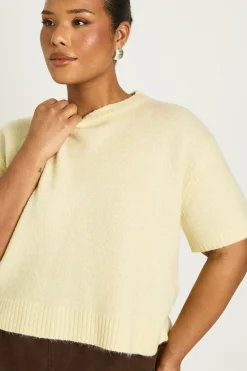 boohoo Haut Tricoté à Manches Courtes Grande Taille<Femme Pulls Et Gilets|Toutes Les Mailles
