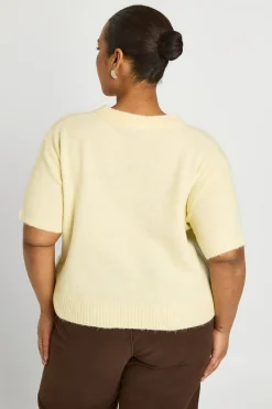boohoo Haut Tricoté à Manches Courtes Grande Taille<Femme Pulls Et Gilets|Toutes Les Mailles