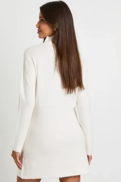 boohoo High Neck Super Soft Knitted Mini Dress<Femme Robes À Manches Longues|Robes