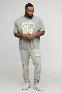 Jean en Denim Plus Coupe Skinny avec Déchirures & Réparations Brodées