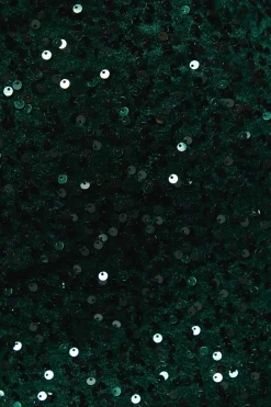 Mini-Jupe en Velours à Sequins