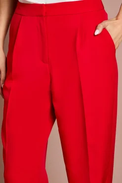 Pantalon De Costume Droit À Pinces