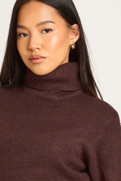 boohoo Petite robe mini en maille épaisse à col roulé<Femme Looks Chocolat|Pulls Et Gilets