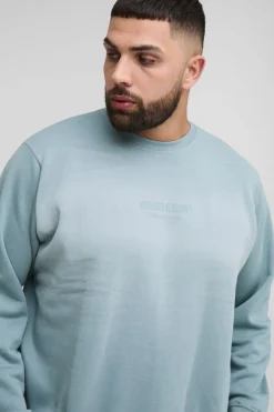 Plus Limited Edition Print Spay Wash Regular Fit Sweater
