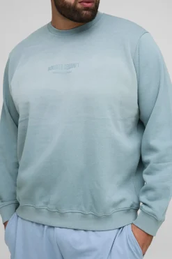 Plus Limited Edition Print Spay Wash Regular Fit Sweater