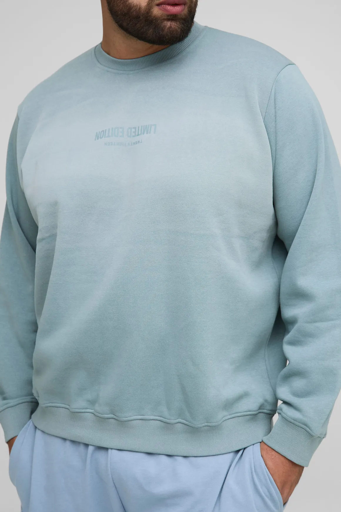 Plus Limited Edition Print Spay Wash Regular Fit Sweater