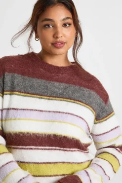 Plus pull à col rond surdimensionné en maille brossée à multiples rayures