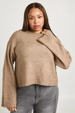 boohoo Pull à col rond Plus<Femme Pulls Et Gilets|Toutes Les Mailles