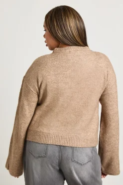 boohoo Pull à col rond Plus<Femme Pulls Et Gilets|Toutes Les Mailles