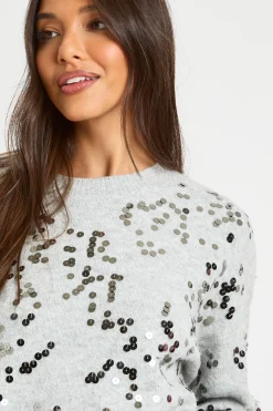 boohoo Pull entièrement à sequins<Femme Pulls Et Gilets|Toutes Les Mailles