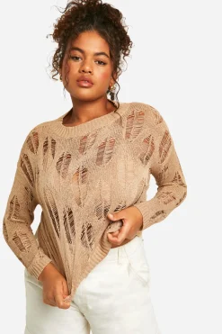 Pull transparent avec détails en échelle