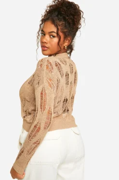 Pull transparent avec détails en échelle