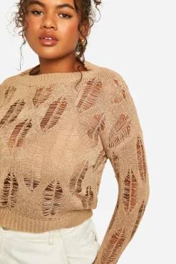 Pull transparent avec détails en échelle