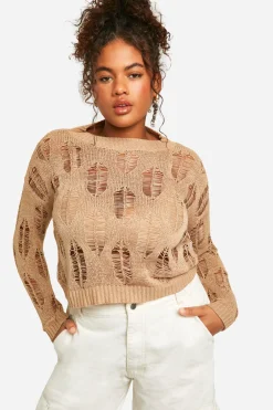 Pull transparent avec détails en échelle