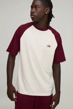 Regular Embroidered Raglan T-Shirt