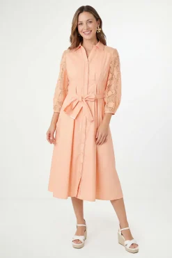 Wallis Robe Chemise Ceinturée En Coton Avec Dentelle Petite<Femme Robes Mi-Longues|Satin Et Dentelle