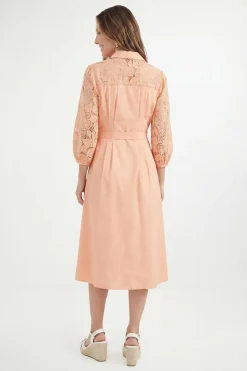Wallis Robe Chemise Ceinturée En Coton Avec Dentelle Petite<Femme Robes Mi-Longues|Satin Et Dentelle