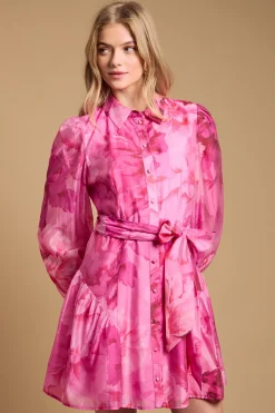 Robe Chemise À Manches Volumineuses Avec Détail Ceinture