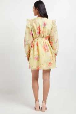 Robe Courte Petite À Manches Bouffantes Avec Détails À Volants Et Imprimé