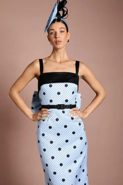 Coast Robe Crayon Maxi Lisa À Pois Beiges Avec Détails Contrastés<Femme Robes|Robes Longues