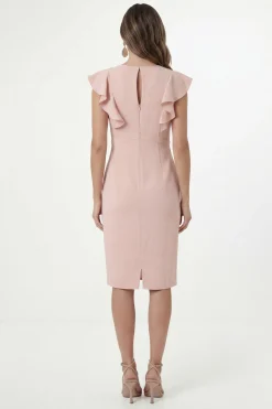 Wallis Robe Crayon Petite En Crêpe Ornée<Femme Robes|Robes Mi-Longues