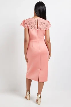 Robe Crayon Petite en Scuba avec Manches en Dentelle