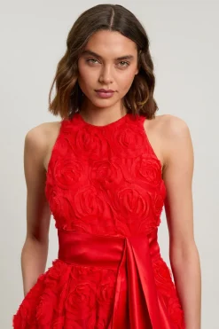 Robe De Soirée En Tulle À Rosettes Avec Ceinture En Satin Tissé