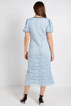 Wallis Robe Fourreau À Empiècement Contrastant En Dentelle<Femme Toutes Les Robes|Robes Mi-Longues