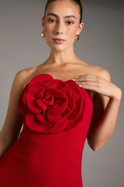 Robe Longue Bustier Avec Corsage Rose