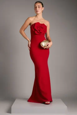 Robe Longue Bustier Avec Corsage Rose