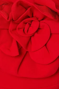 Robe Longue Bustier Avec Corsage Rose