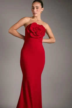 Robe Longue Bustier Avec Corsage Rose
