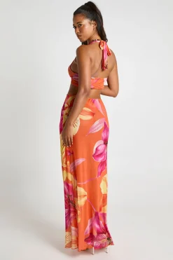 boohoo Robe Longue De Plage En Maille Transparente À Imprimé Floral Avec Découpes Et Col Licou<Femme Robes|Robes Dos Nu