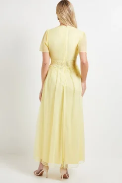 Wallis Robe Longue En Mesh Avec Finitions En Dentelle - Collection Petite<Femme Satin Et Dentelle|Robes