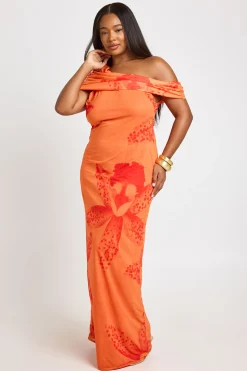 Robe Longue En Mesh À Imprimé Floral Grande Taille