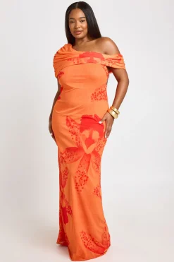 Robe Longue En Mesh À Imprimé Floral Grande Taille
