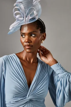 Coast Robe Longue en Mousseline Plissée<Femme Toutes Les Robes|Robes Longues