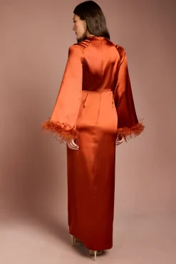 Coast Robe Longue En Satin À Bordure De Plumes<Femme Satin Et Dentelle|Robes À Manches Longues